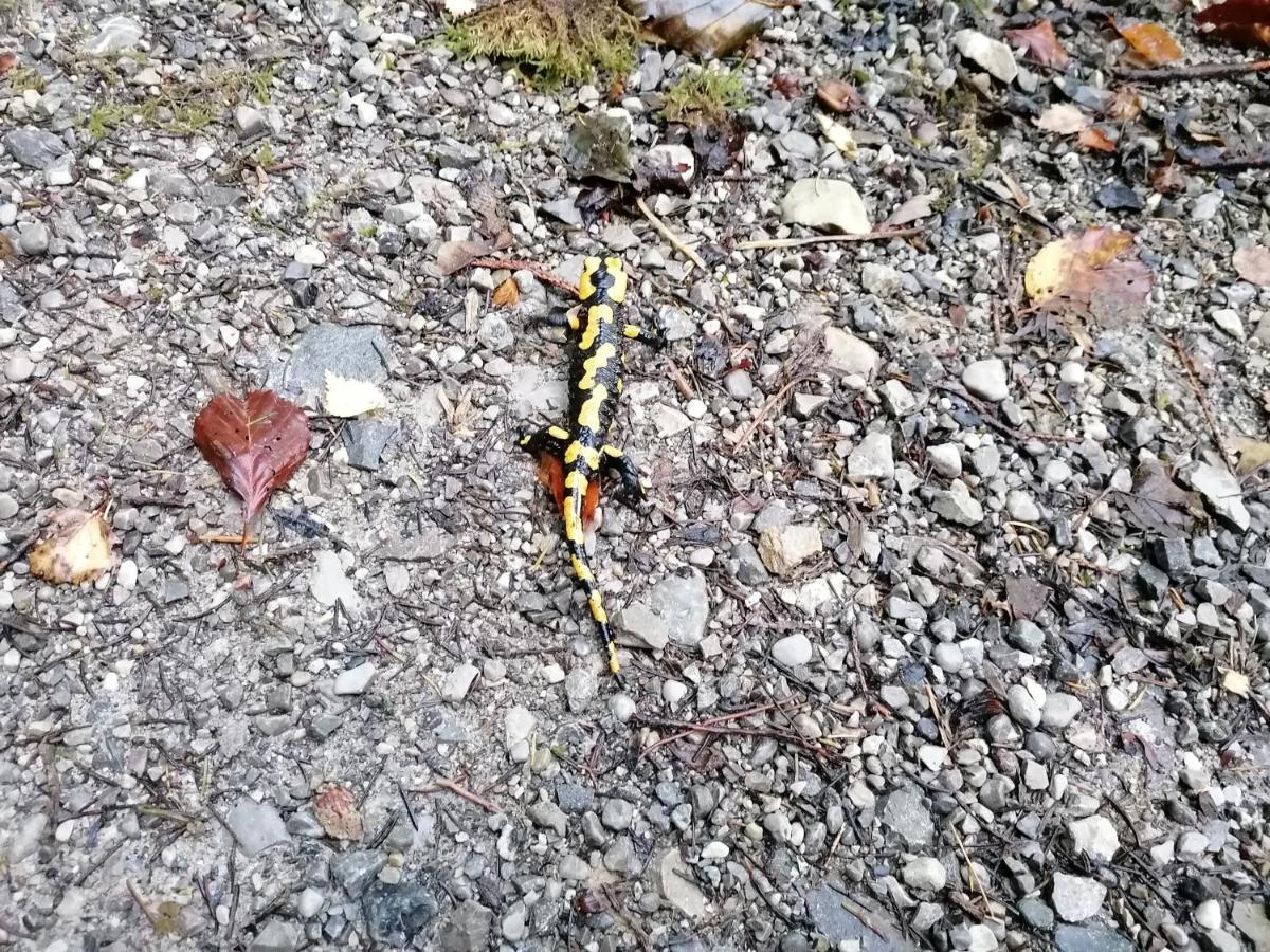 Hébergement de vacances Region Tegernsee Miesbach